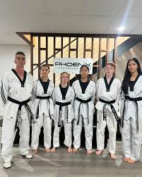 Image result for Phoenix Martial Arts