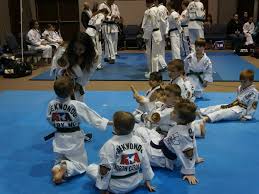 Image result for Vision Martial Arts