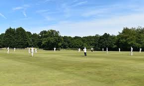 Image result for All Cannings Cricket Club