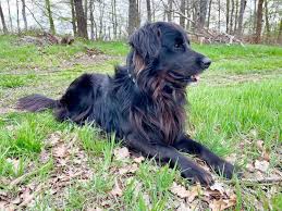 Image result for passivhaus schkortitz