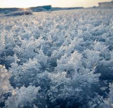 Attēlu rezultāti vaicājumam “Frost Flowers”