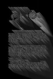 Attēlu rezultāti vaicājumam “Cribraria costata”