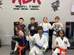 Image result for America's Best Karate