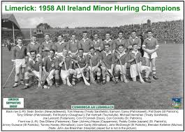 Image result for University Of Limerick Gaa Hurling Club