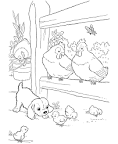 Chicken coloring page