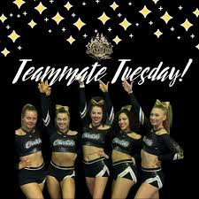 Image result for Chiltern Cheetahs