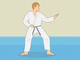 Image result for COMBAT TAEKWONDO