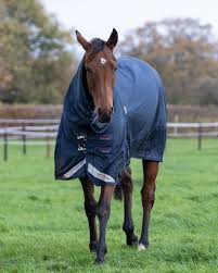 Image result for Elite Racing Club