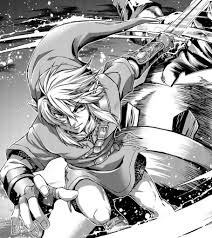 Image result for link twilight princess