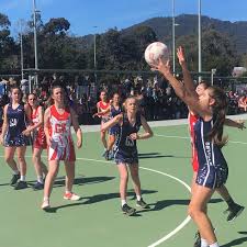 Image result for Lymm Baci Netball Club
