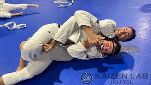 Image result for AAZENTAI JU JITSU