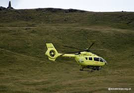 Image result for North Leeds Fell Runners