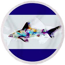 Image result for Chichester Sharks