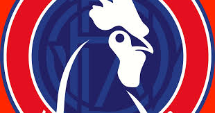 Image result for Dorking Wanderers F C