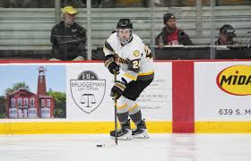 Image result for Adur Skater Hockey Club