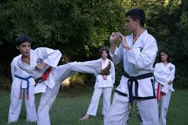 Image result for Kyokushin Karate