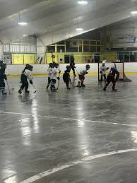 Image result for Halifax Roller Hockey Club