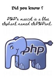 Image result for elephpant