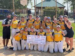 Image result for Cheetahs Softball Team