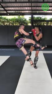 Image result for S J T B Thai Boxing Gym