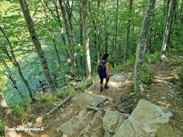 Image result for cascate del dardagna