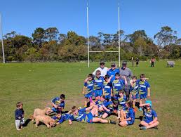 Image result for St Ives Rugby Club