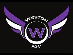Image result for Weston Aerobic Gymnastics
