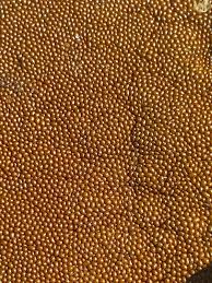 Attēlu rezultāti vaicājumam “Trichia scabra”