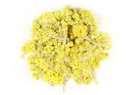 Attēlu rezultāti vaicājumam “Helichrysum arenarium bud”