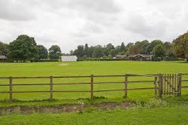 Image result for Forest Green Cricket Club