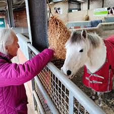 Image result for Blackpool & Fylde Horse Club
