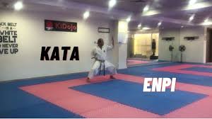 Image result for enpi dojo