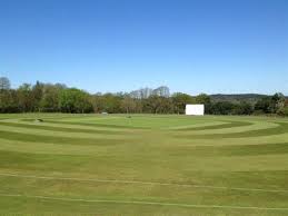 Image result for Liphook & Ripsley Cc
