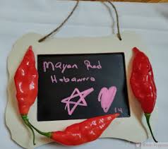 Afbeeldingsresultaat voor chili maya hot pepper hot pepper