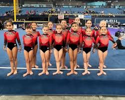 Image result for Elite Recreational Gymnastics Club