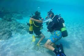 Image result for Woking Junior Snorkelling Club