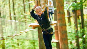 Image result for Go Ape! Whinlatter