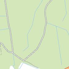 Attēlu rezultāti vaicājumam “Priobium carpini”