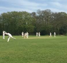 Image result for Great Baddow Cricket Club
