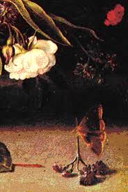 Attēlu rezultāti vaicājumam “Lopinga achine upperside”