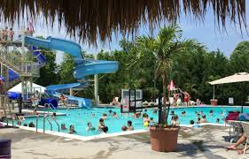 Image result for Belgrave Swimming Club