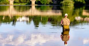 Image result for Thames Valley Angling