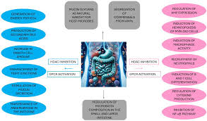 Attēlu rezultāti vaicājumam “Pemphigus borealis”