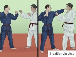 Image result for Brazilian-martial arts