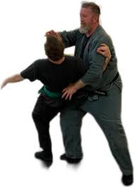 Image result for Bujinkan Ninpo Dojo