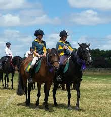 Image result for Thames Valley Riding Club