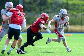 Image result for Edinburgh Wolves