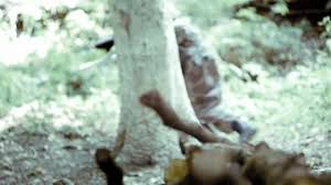 Image result for Go Ballistic Laser Combat Kidderminster