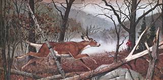 Image result for Hinkley Archers