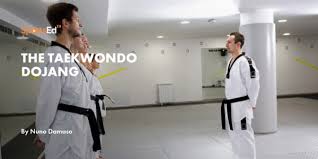 Image result for Dujon Tae Kwon Do